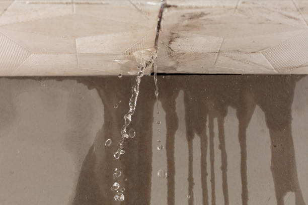 Professional Structural Drying technician working in Dover, FL